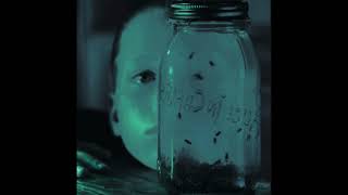 Rotten Apple..but The Apple Has Deteriorated