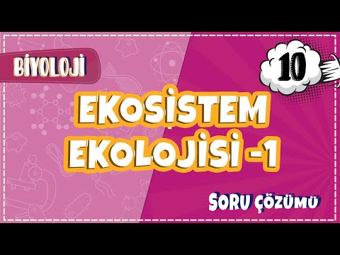 10. Sınıf Biyoloji - Ekosistem Ekolojisi -1 Soru Çözümleri  2022