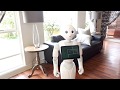 TeachMeet Robot invitation