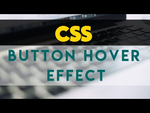 CSS Button Hover Effect #1 || Create Button in CSS #2021 || FreeWebDev