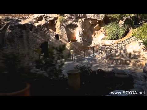 სიკვდილითა სიკვდილისა დამთრგუნველი