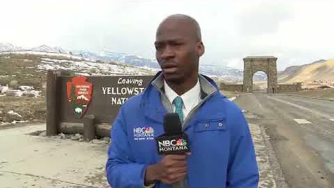 Reporter flees after spotting herd of bison