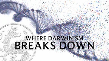 Where Darwinism Breaks Down - with Stephen Meyer