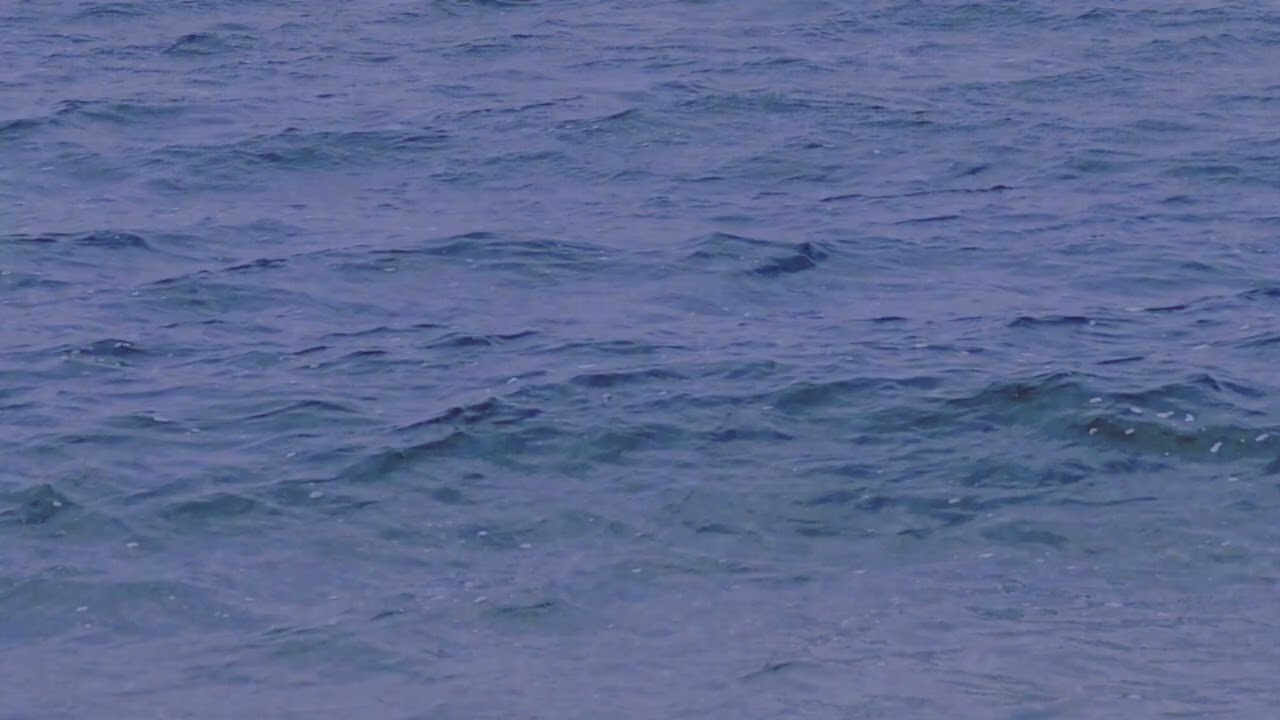 【𝐛𝐨𝐨𝐤𝐩𝐥𝐲】 슬픈 로맨스 소설 읽을 때 들으면 두 배 더 아련해지는 음악 l BGM for Sad/Romance Story