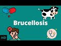 Brucellosis, Causes, Signs and Symptoms, Diagnosis and Treatment.