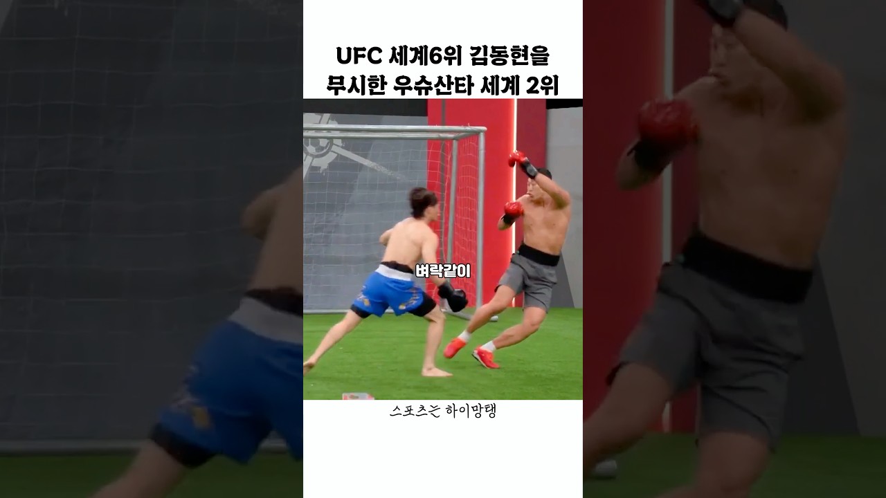 UFC세계6위 김동현을 무시한 우슈 세계2위