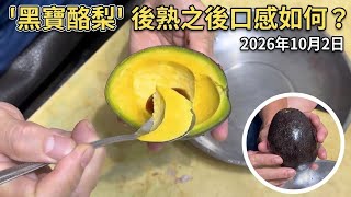 「黑寶酪梨」後熟之後口感如何？2026年10月2日