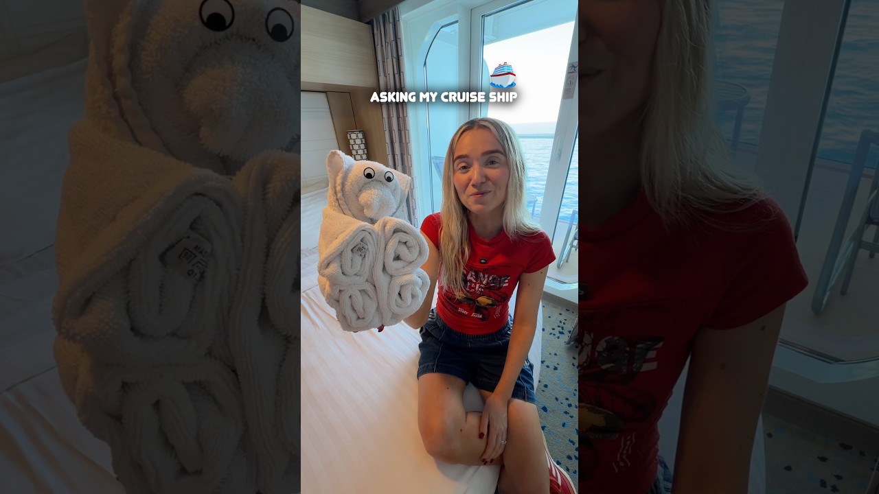 Cruise Ship Towel Animal Challenge…