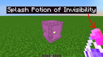 what if i make shulker invisible? (minecraft experiment)