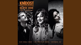 Neredesin Sen (Feat. Ülkü Aybala Sunat, Apostolos Sideris) Resimi