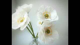 МК Белый мак из холодного фарфора🌸 White cold porcelain poppy