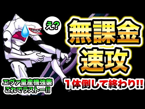 そら海様　まんまるにゃんこか✖️3 sddefault.jpg?v=66ce8ff0