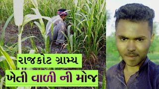 ખેતી વાડી ની મોજ - રાજકોટ ગ્રામ્ય - ગુજરાતી જીવન શૈલી - Gujrati Lifestyle Vlog - GujratiCreator screenshot 5