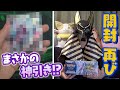 ◯◯が欲しくて再びポケカに手を出した男【ポケモンGOコラボ】