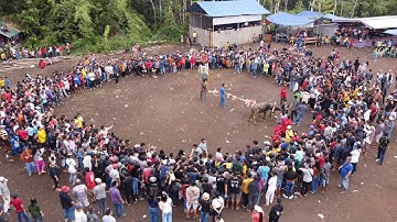 ACARA RITUAL TOTOH DALO HINDU KAHARINGAN SUKU DAYAK SIANG