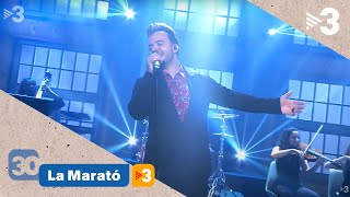 La Marató: Luis Fonsi canta \