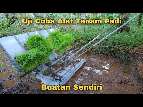 Uji Alat Tanam Padi Manual buatan sendiri