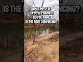 What piece of cryptid related evidence do you think is the most convincing to be real? #cryptids