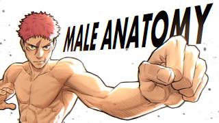 Real time Anatomy Poses Sketches : Male Torsos (Draw with Me)