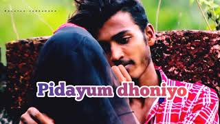 Heyza lyrics video.Ameen nufal. badusha cherukara