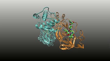 SARS-CoV-2 Main protease. 8-us of Classical Molecular Dynamics Simulation