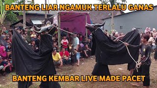 Bantengan Ngamuk Banteng Kembar Live Made Pacet Mojokerto
