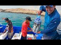 Increíbles Hechos de PESCA con señuelos JIGS pesca en Alta Mar