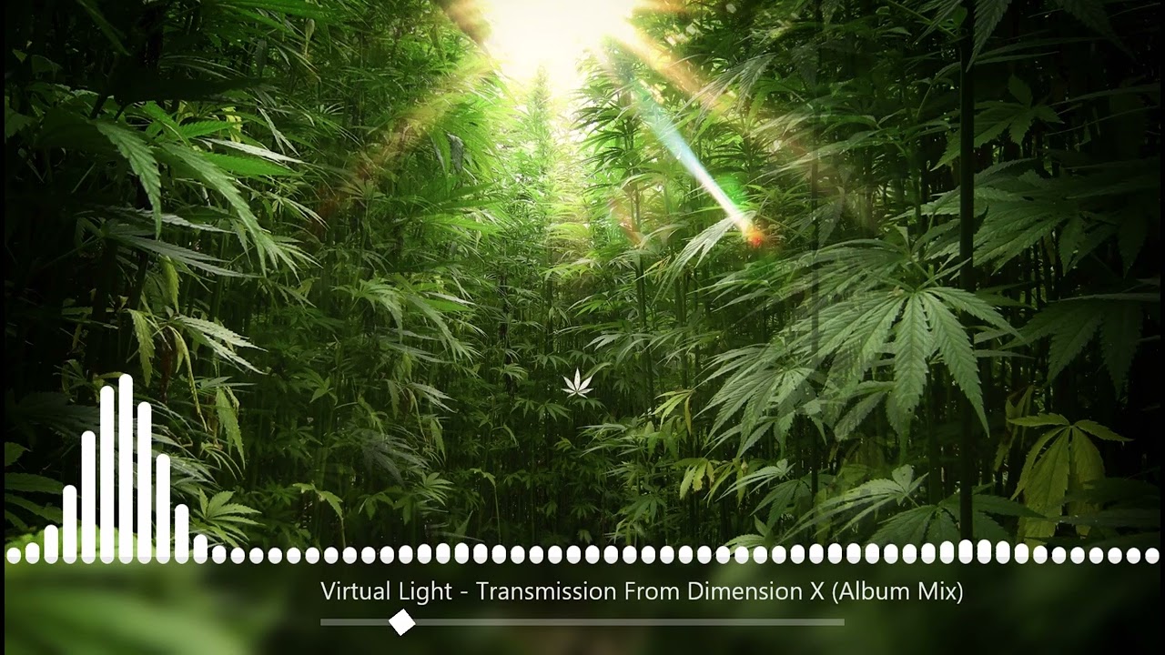 Virtual Light  - Transmission From Dimension X [Album Mix]