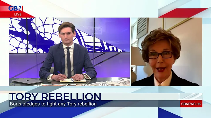 Baroness Jacqueline Foster discusses the Tory rebe...