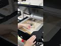 【UP-T】愛犬のTシャツを作ってみた #shorts