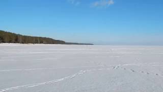 Финский залив - Зеленогорск (05.03.17 )