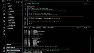 How to Minimize the Size of a Rust Binary in 10 Minutes!