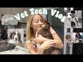 Day In The Life of a Vet Tech | Vet Tech Vlog | Veterinary Technician