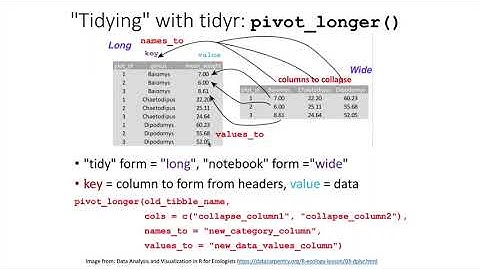 014c The pivot_longer() function