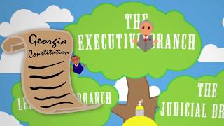 What Does the Executive Branch Do?