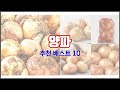 양파 추천 지갑을 아끼는 스마트 쇼핑 가성비 좋은 상품 10가지
