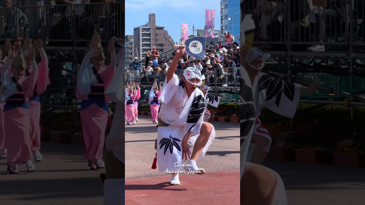 【腰のひくーい集団!!】ささ連 #阿波おどり #dance #japan