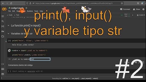 Explorando la Función print(), input() y Variables de Texto en Python | Tutorial Python - video #2