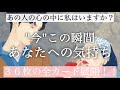 【恋愛💗今この瞬間の気持ち】切ない思いがあります🥲あなたに言えない本当の気持ち💗『タロット/ルノルマン/オラクル』