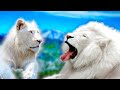 Белый Лев - Самое Красивое и Редкое Животное!