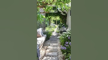 #سوره ای که در شب های رمضان نازل شد سوره قدر