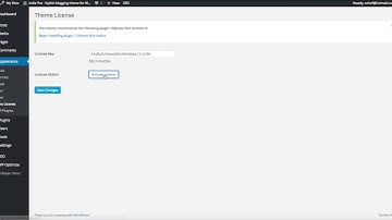 Activate your theme Licence