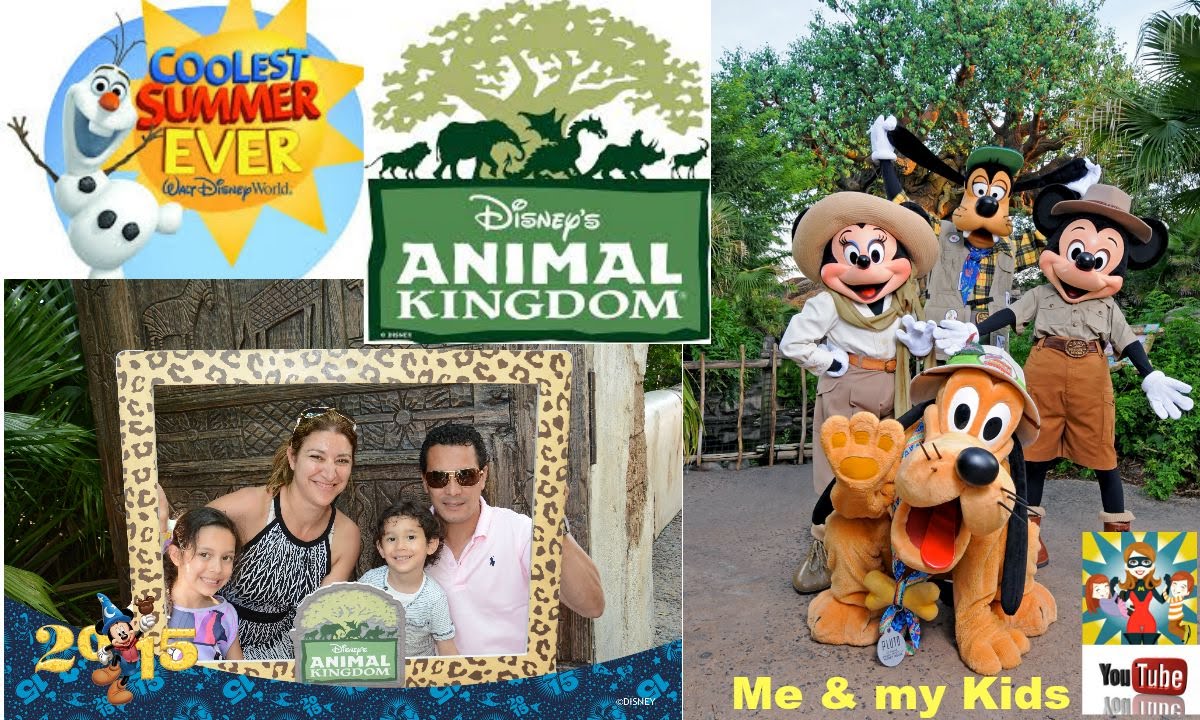 Disney's Animal Kingdom Family vlog YouTube