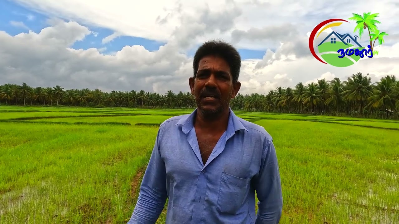 AGRICULTURE l FARMERS PRESENT SITUATION IN SRI LANKA (NORTHERN PROVINCE) l INTERVIEW 02 l IN TAMIL