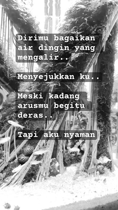 Meski arus begitu deras, tapi aku nyaman denganmu | story galau #youtubeshorts #storywa #galau