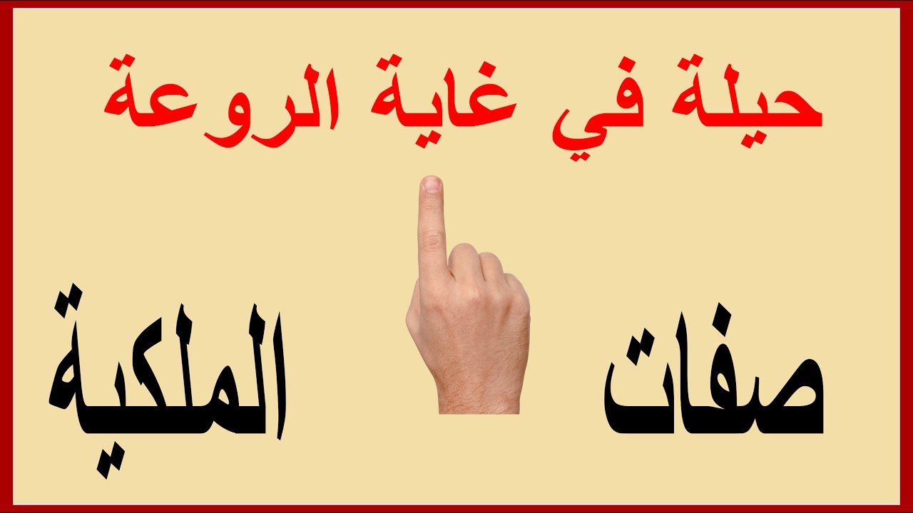 صفات الملكية| حتما وقعت في هذا الخطأ -أليس كذلك؟|  possessive adjectives