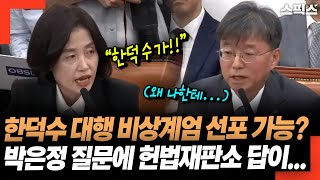 한덕수 권한 대행 비상계엄 선포 가능한가? 박은정 질문에 헌법재판소 사무처장 답이...
