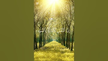 وما أبرئ نفسي | تلاوة مؤثرة تهز القلوب🌿 تلاوة خاشعة لقول الله تعالى: وما أبرئ نفسي💫