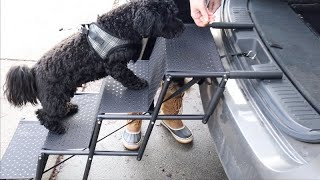 Nahofi Foldable Dog Stairs for Large Dogs Review | Portable Dog Car Ramp with Nonslip Surface
