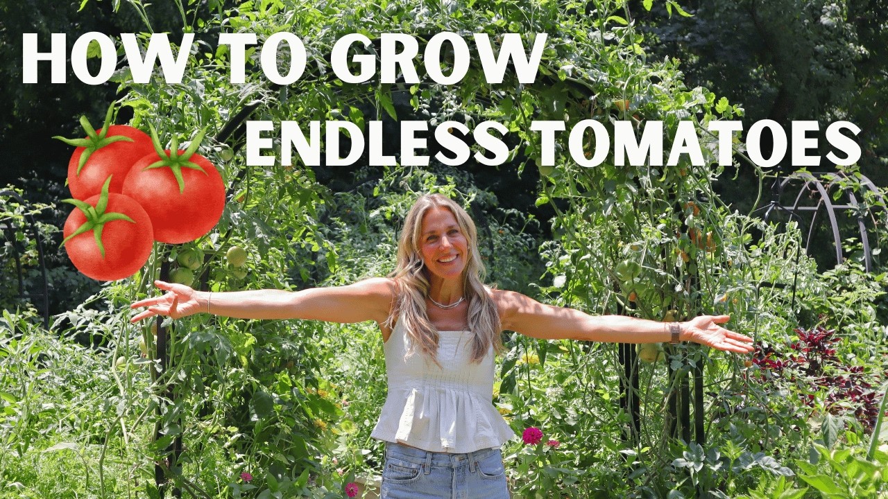 My Complete Step-By-Step Guide to Grow Huge Tomatoes 🍅